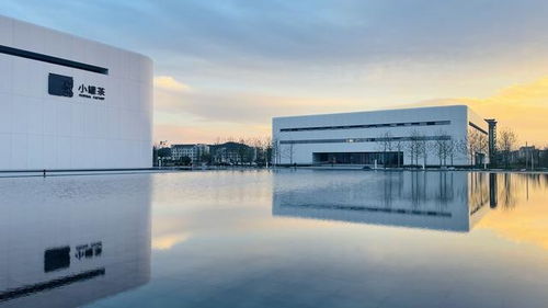 跨越時空的茶 文化名片走向世界 助力鄉(xiāng)村振興與項目經(jīng)營